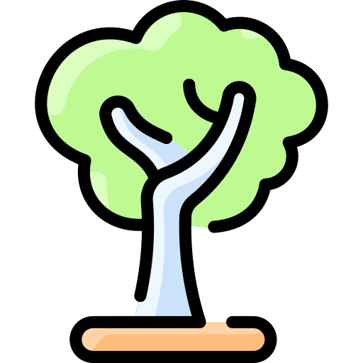 Eucalyptus woodland tree botanical icon Eucalyptus woodland tree botanical icon