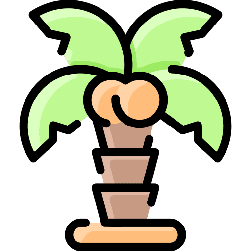 Palm coconut tree environment botanical icon Palm coconut tree environment botanical icon