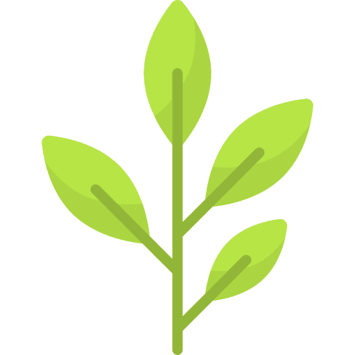 Eucalyptus leaf eucalyptus leaves icon