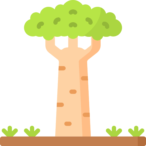 Adansonia nature adansonia wood icon