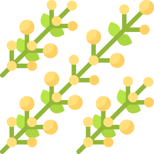Golden wattle acacia nature garden icon