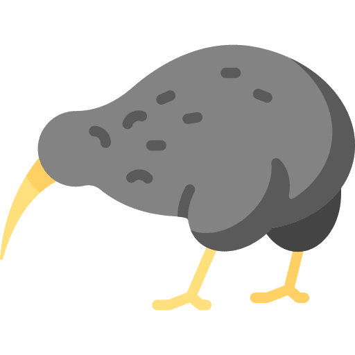 Kiwi kiwi fauna animals icon
