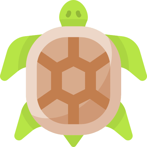 Turtle pets animals animal kingdom icon