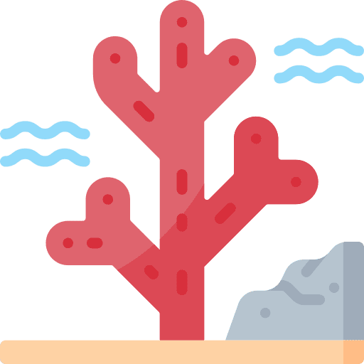 Coral coral aquatic nature icon