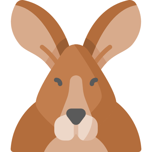 Kangaroo marsupial animal zoology icon