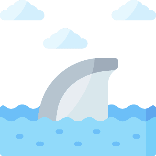 Shark shark wild life animal kingdom icon