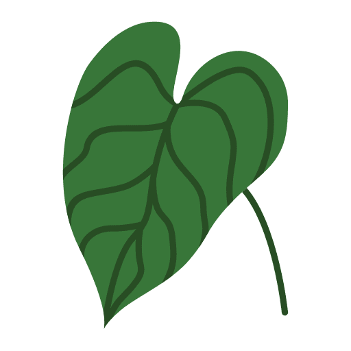 Alocasia floral leaf tropical icon Alocasia floral leaf tropical icon