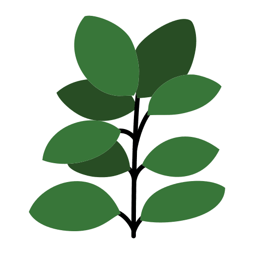 Ficus house plants pot nature icon