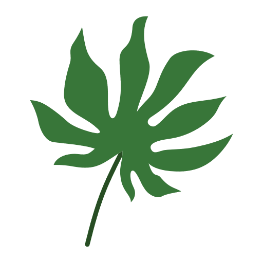 Ginkgo biloba plants flora plant icon Ginkgo biloba plants flora plant icon