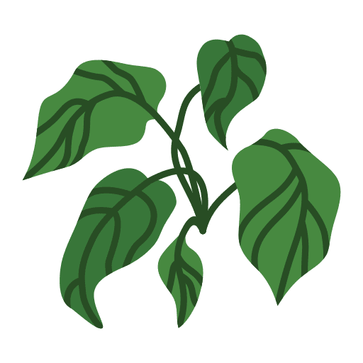 Leaf pot leaves tropical icon
