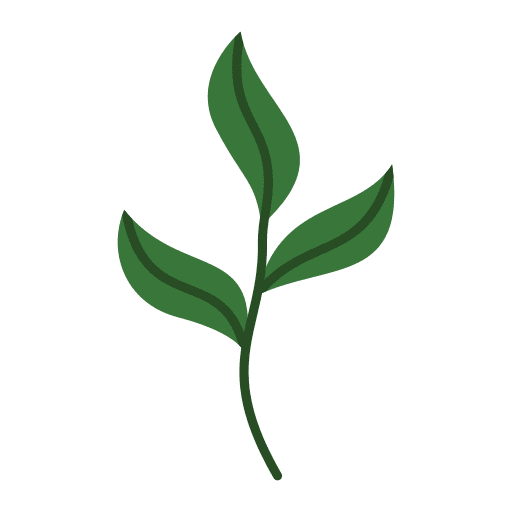 Leaves plants pot tropical icon