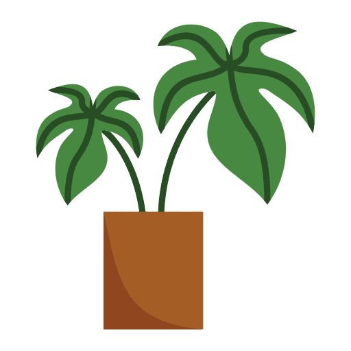 Monstera leaf nature plant icon