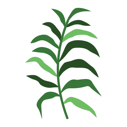 Palm floral leaf flora icon