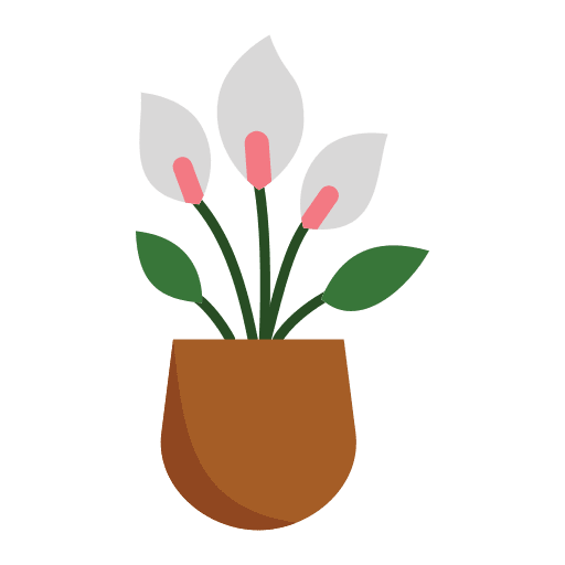 Peace lily peace lily leaf flora icon Peace lily peace lily leaf flora icon