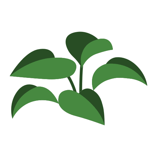 Rubber plant plants flora plant icon