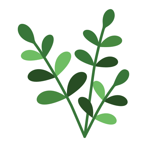 Willow tropical house plants floral icon