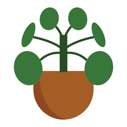 Chinese money plant house plants plants pot icon Chinese money plant house plants plants pot icon