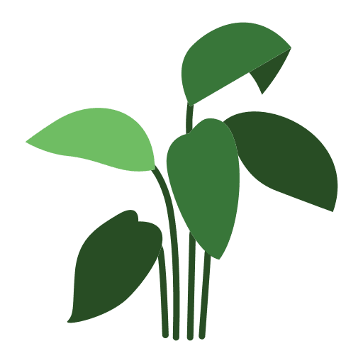 Dumb cane house plants floral flora icon Dumb cane house plants floral flora icon