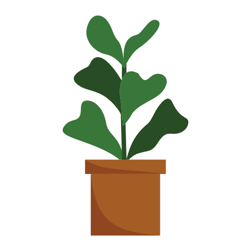 Ficus nature ficus plants icon Ficus nature ficus plants icon