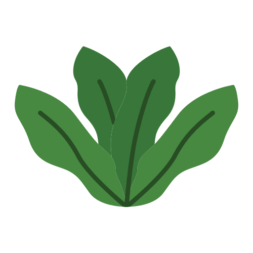 Leaf flora tropical leaf icon Leaf flora tropical leaf icon