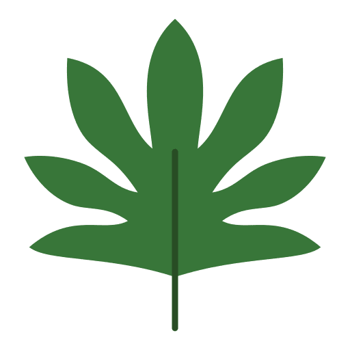 Leaf leaves pot house plants icon Leaf leaves pot house plants icon