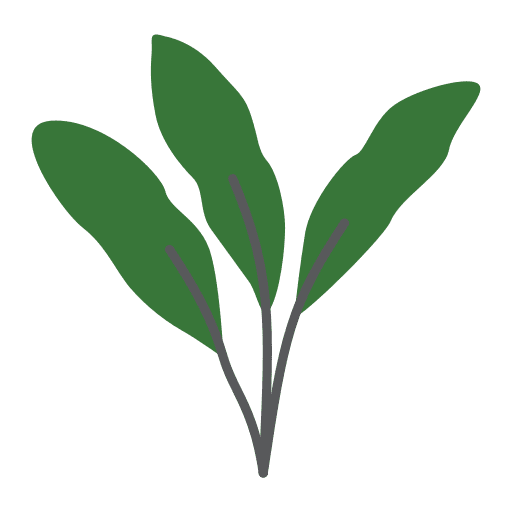 Strelitzia house plants plants strelitzia icon Strelitzia house plants plants strelitzia icon