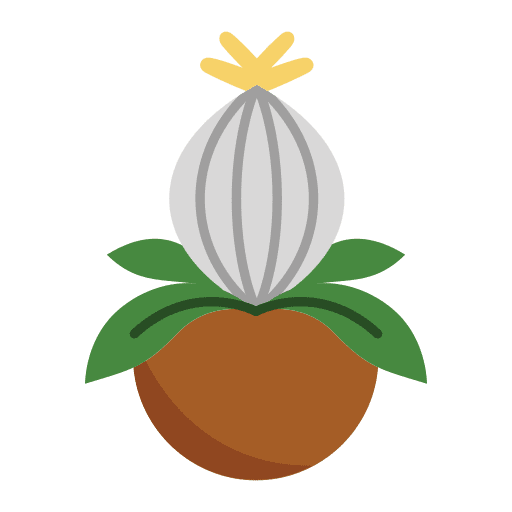 Succulent leaf flora pot icon Succulent leaf flora pot icon