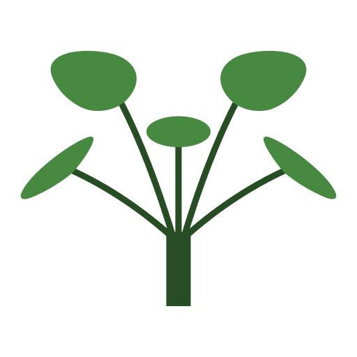 Chinese money plant house plants flora nature icon Chinese money plant house plants flora nature icon