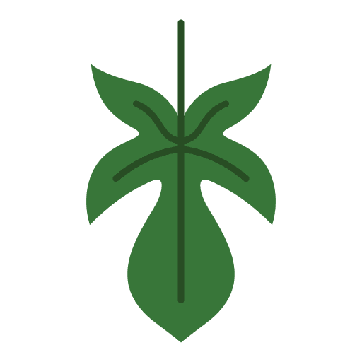 Leaf house plants tropical flora icon Leaf house plants tropical flora icon