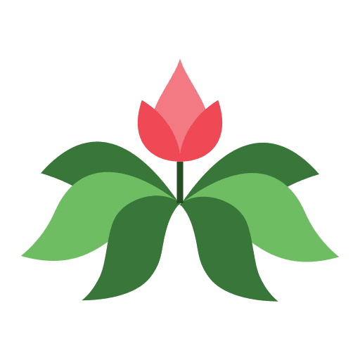 Peace lily plant peace lily house plants icon Peace lily plant peace lily house plants icon