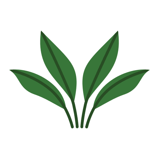 Philodendron tropical house plants plants icon Philodendron tropical house plants plants icon