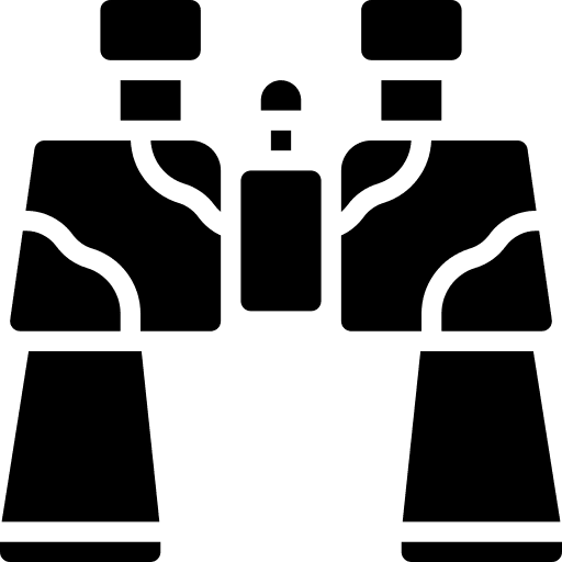 Binoculars search look camouflage icon