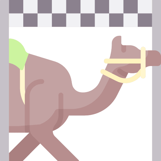 Camel sport checkered flag finish line icon Camel sport checkered flag finish line icon