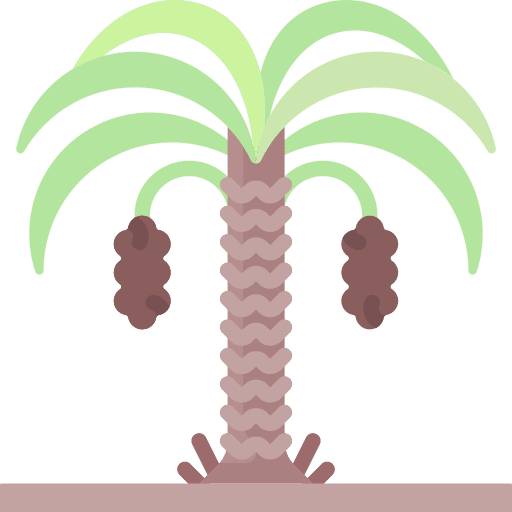 Tree plant dates desert icon