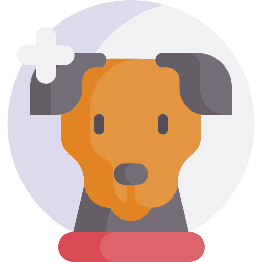 Laika pet russia mammal icon Laika pet russia mammal icon