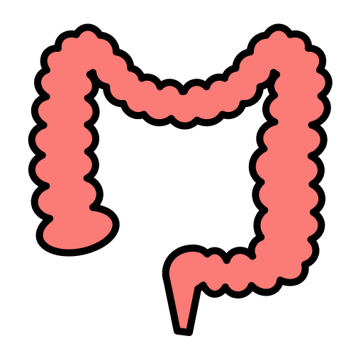 Colon healthcare and medical human body colon icon Colon healthcare and medical human body colon icon