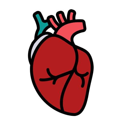 Heart cardiology transplant heart icon