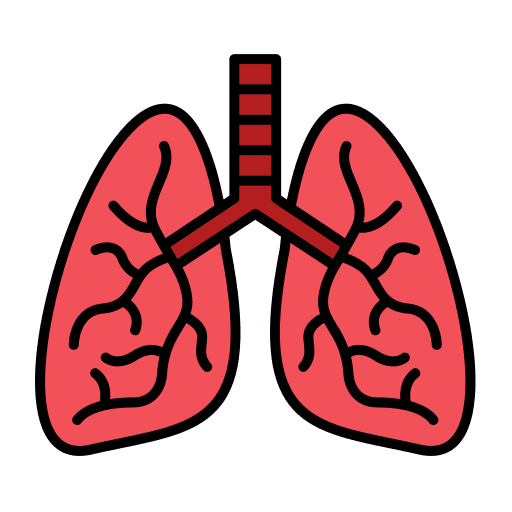 Lunges lunges thorax organ icon