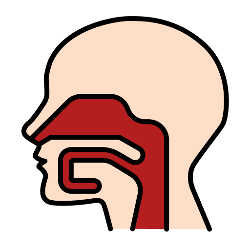 Pharynx human body pharynx throat icon