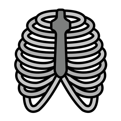 Rib cage rib cage body healthcare and medical icon