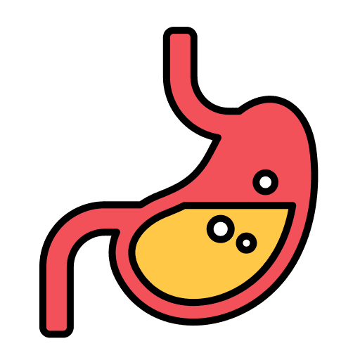 Stomach internal organ gastroenterology body parts icon Stomach internal organ gastroenterology body parts icon