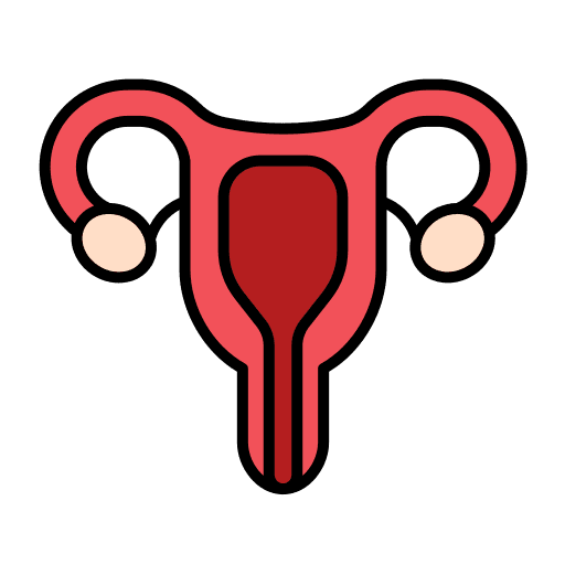 Uterus uterus reproductive system anatomy icon