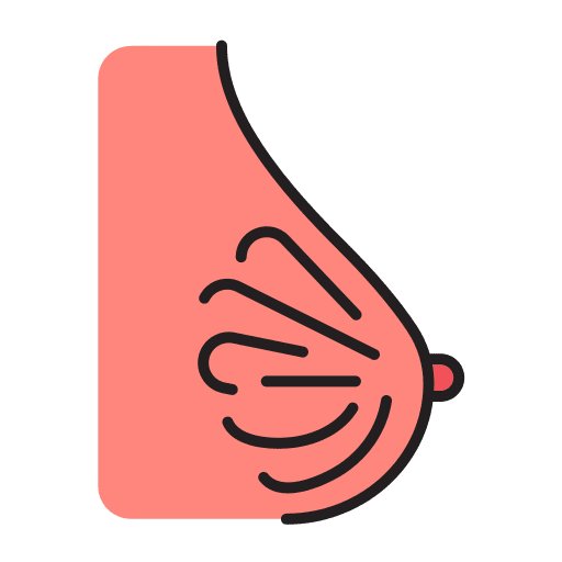 Breast mammary gland anatomy healthcare and medical icon Breast mammary gland anatomy healthcare and medical icon