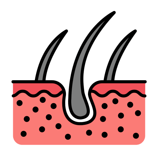 Dermis skin healthcare and medical hair follicle icon Dermis skin healthcare and medical hair follicle icon
