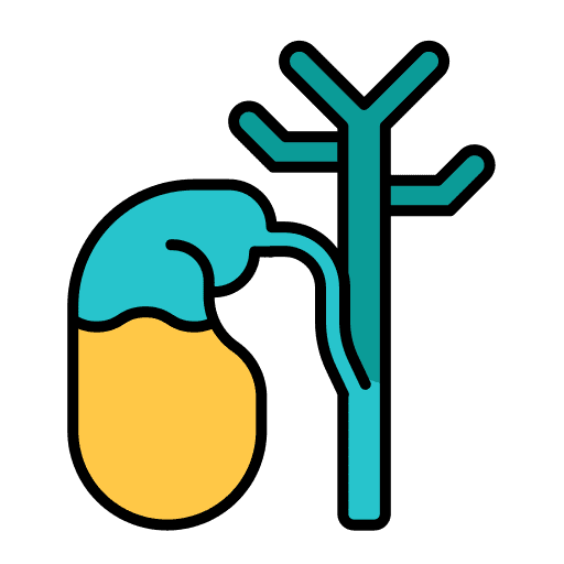 Gallbladder digestive system anatomy body organ icon Gallbladder digestive system anatomy body organ icon