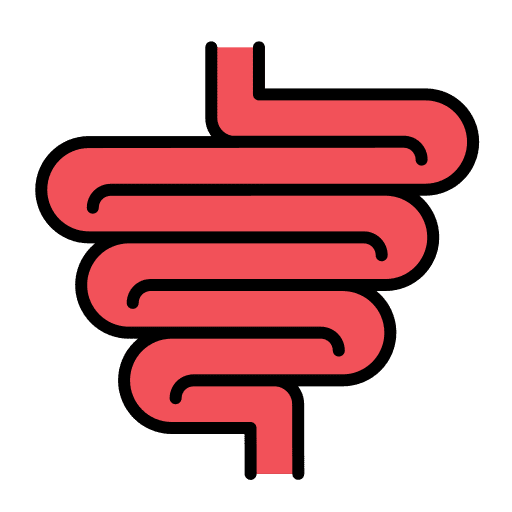 Intestine anatomy organ physiology icon Intestine anatomy organ physiology icon