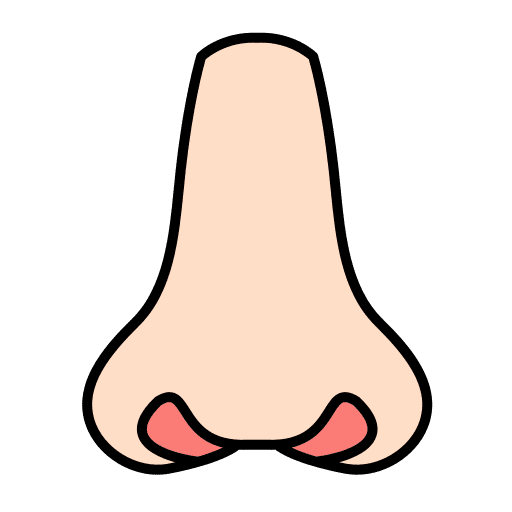 Nose nose human body healthcare and medical icon Nose nose human body healthcare and medical icon