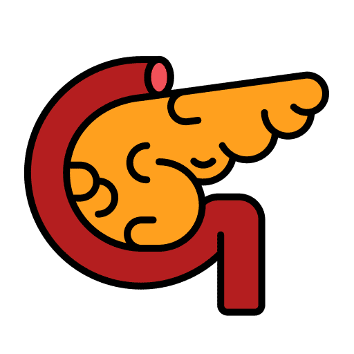 Pancreas body organ body part physiology icon Pancreas body organ body part physiology icon