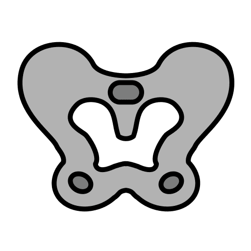 Pelvis human body pelvis hips icon Pelvis human body pelvis hips icon
