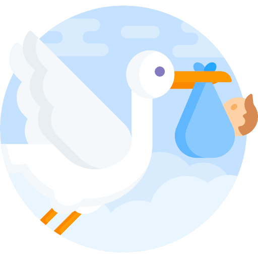 Stork baby boy bird icon